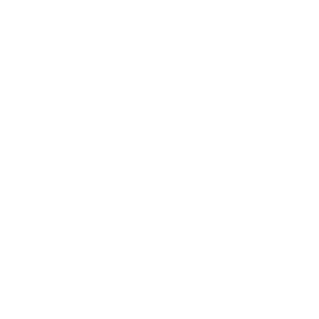 the AGENCY co.